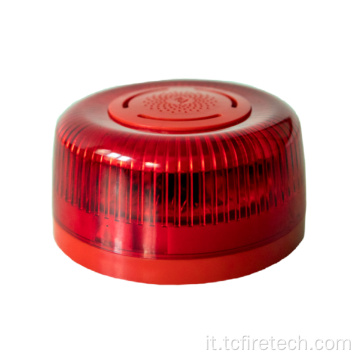 TCSG5230 STROBE SUD SOUD SOURDABILE